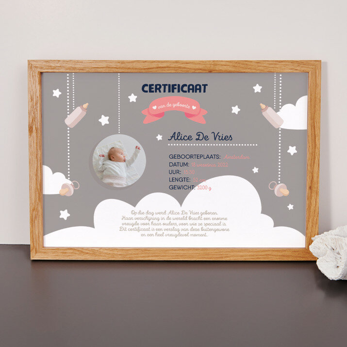 certificaat van de geboorte van een dochter - Certificaat