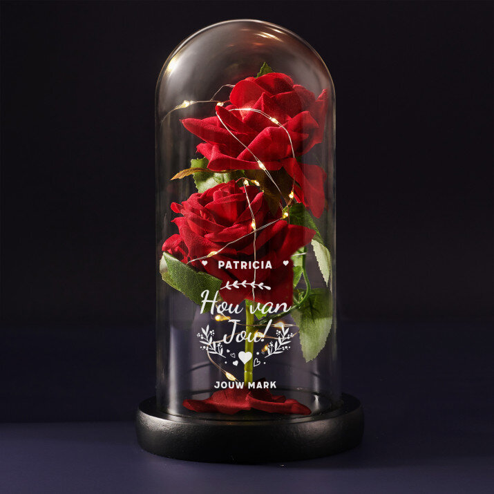 hou van jou 2 - Euwige roos in glas
