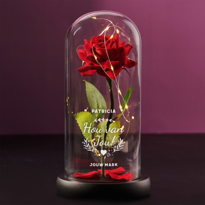 hou van jou 2 - Euwige roos in glas