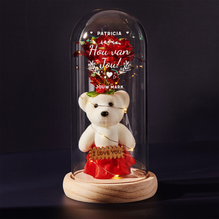 hou van jou 2 - Een eeuwige roos met teddybeer hou van jou 2 - Een eeuwige roos met teddybeer