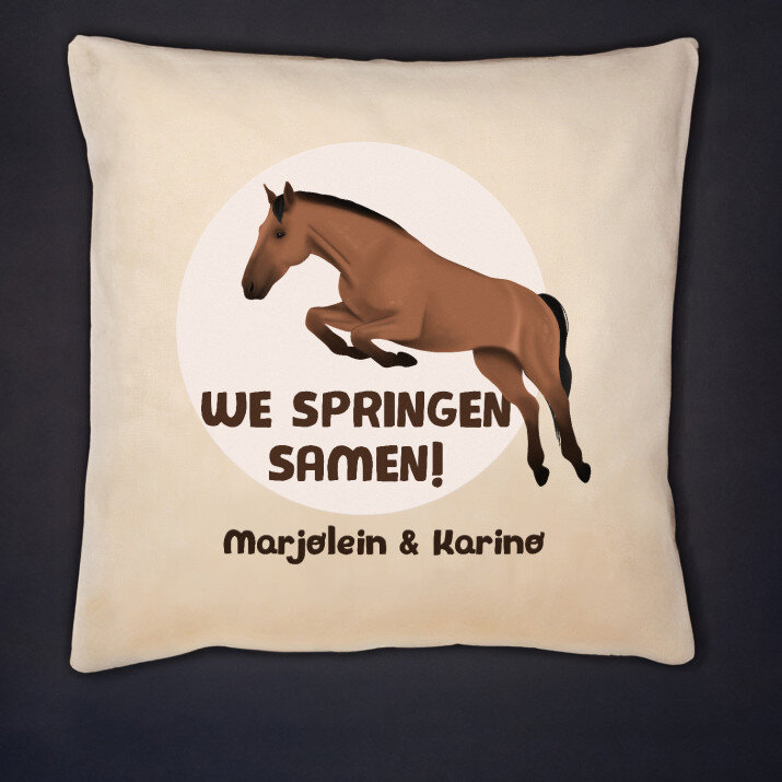 we springen samen - Kussen