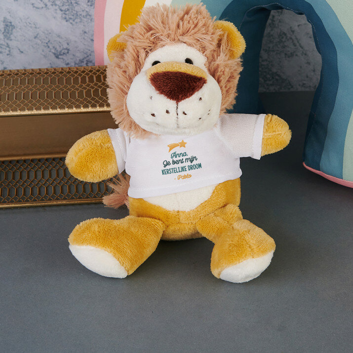  kerstelijke droom - Knuffel