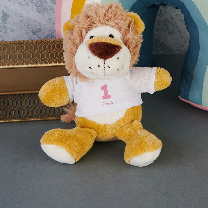 verjaardag meisje - Knuffel