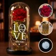 Love - Euwige roos in glas Love - Euwige roos in glas