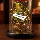 eigen project - Euwige roos in glas