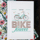 Bike forever - Fotoalbum
