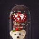 heel de wereld - Een eeuwige roos met teddybeer heel de wereld - Een eeuwige roos met teddybeer