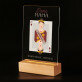 Dame mama - Afdruk op acrylglas met LED- standaard