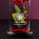 Fingerprints - Euwige roos in glas