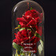 hou van jou 2 - Euwige roos in glas