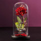 hou van jou 2 - Euwige roos in glas