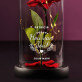 hou van jou 2 - Euwige roos in glas