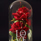 Love - Euwige roos in glas