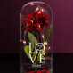 Love - Euwige roos in glas