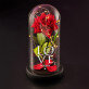 Love - Euwige roos in glas
