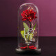 Love - Euwige roos in glas