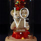 Love - Een eeuwige roos met teddybeer