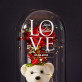 Love - Een eeuwige roos met teddybeer Love - Een eeuwige roos met teddybeer