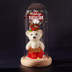 mijn valentijn - Een eeuwige roos met teddybeer