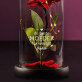 de beste moeder - Euwige roos in glas