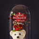 de beste moeder - Een eeuwige roos met teddybeer de beste moeder - Een eeuwige roos met teddybeer