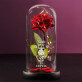 onze liefde is eeuwig - Euwige roos in glas