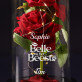 belle en het beest - Euwige roos in glas