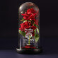 prachtig bloem - Euwige roos in glas
