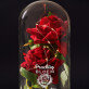 prachtig bloem - Euwige roos in glas