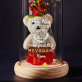 prachtig bloem - Een eeuwige roos met teddybeer