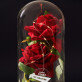 eigen project - Euwige roos in glas