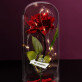 eigen project - Euwige roos in glas