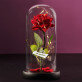 eigen project - Euwige roos in glas