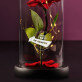 eigen project - Euwige roos in glas