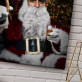 Grote Kerstman - Droom portret