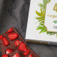 Verjaardag varen - Chocolade met aardbeien