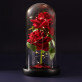 Euwige roos in glas