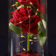Euwige roos in glas