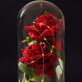 Euwige roos in glas