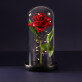 Euwige roos in glas