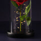 Euwige roos in glas