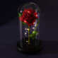 Euwige roos in glas