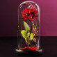 Euwige roos in glas Euwige roos in glas