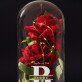 verliefd - Euwige roos in glas