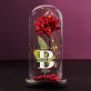 verliefd - Euwige roos in glas