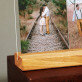 Huwelijk foto's - Afdruk op acrylglas
