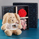 Cadeauset met voor de zus een knuffeldier