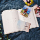 Eenhoorn - Fotoalbum
